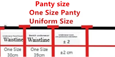 Lingerie Dreamer's Cotton Bralette